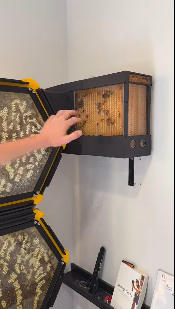 13-vuotias poika suunnitteli 3D-tulostuksen avulla modulaarisen mehiläispesän 40 000 mehiläiselle ja tuottaa jo hunajaa omassa makuuhuoneessaan.