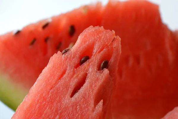 vesimelonin