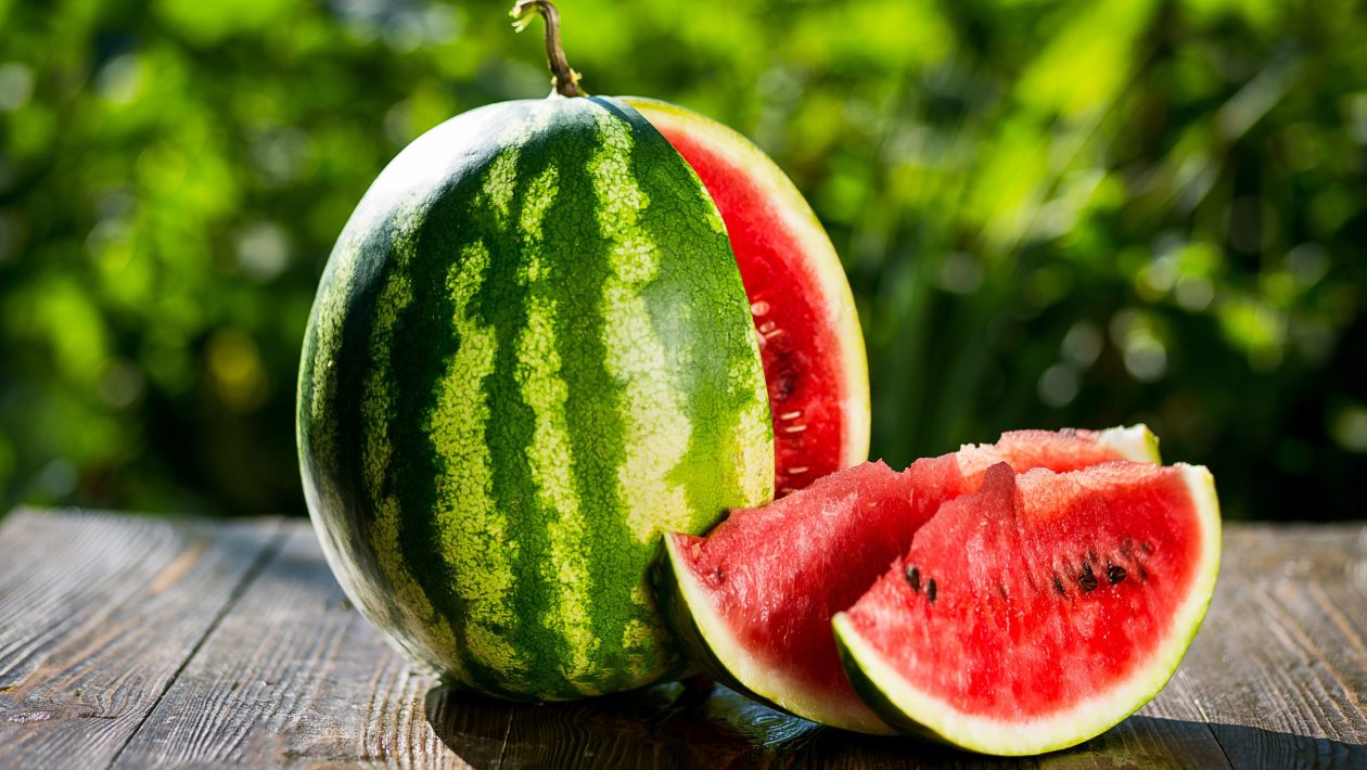 vesimelonin